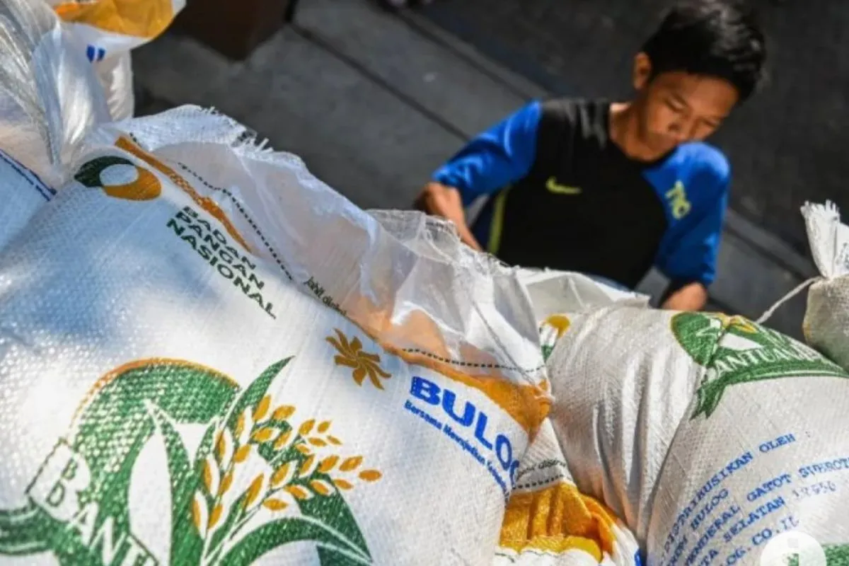 Pemerintah Genjot Sawah Baru di Timur Indonesia, Strategi Jangka Panjang Tekan Harga Beras